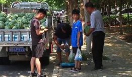 息县吃瓜群众爆料最新消息,吃瓜群众揭秘惊人内幕